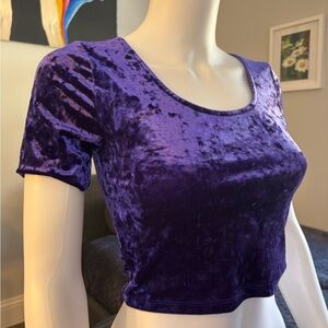 Silence + Noise Purple Velvet Crop Top